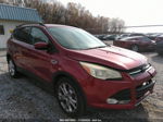 2014 Ford Escape Se Темно-бордовый vin: 1FMCU0GX8EUC27680