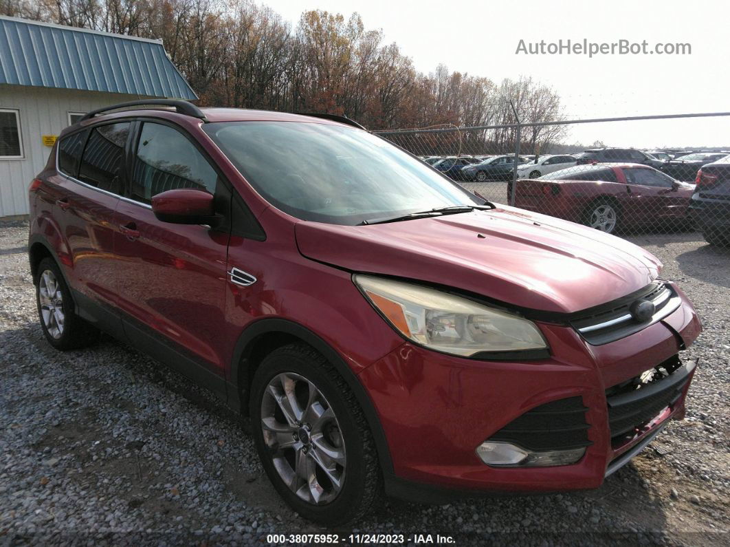 2014 Ford Escape Se Темно-бордовый vin: 1FMCU0GX8EUC27680