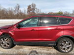 2014 Ford Escape Se Темно-бордовый vin: 1FMCU0GX8EUC27680