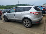 2014 Ford Escape Se Серебряный vin: 1FMCU0GX8EUC42826