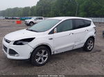 2014 Ford Escape Se White vin: 1FMCU0GX8EUD10297