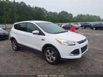 2014 Ford Escape Se Белый vin: 1FMCU0GX8EUD10297