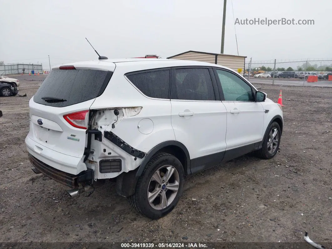 2014 Ford Escape Se White vin: 1FMCU0GX8EUD10297