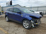 2014 Ford Escape Se Blue vin: 1FMCU0GX8EUD43896