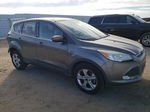 2014 Ford Escape Se Gray vin: 1FMCU0GX8EUD51349