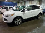 2014 Ford Escape Se White vin: 1FMCU0GX8EUD65039