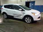 2014 Ford Escape Se Белый vin: 1FMCU0GX8EUD65039