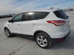 2014 Ford Escape Se Белый vin: 1FMCU0GX8EUD72279