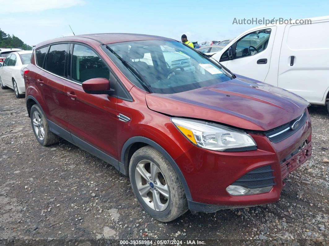 2014 Ford Escape Se Красный vin: 1FMCU0GX8EUE19987