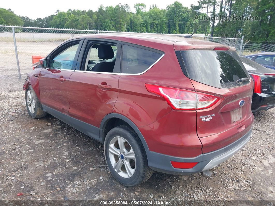 2014 Ford Escape Se Красный vin: 1FMCU0GX8EUE19987