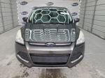 2015 Ford Escape Se Gray vin: 1FMCU0GX8FUA98583