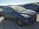 2015 Ford Escape Se Blue vin: 1FMCU0GX8FUB33722