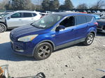 2015 Ford Escape Se Синий vin: 1FMCU0GX8FUB33722