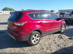 2015 Ford Escape Se Red vin: 1FMCU0GX8FUB36233