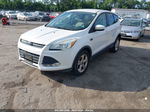 2015 Ford Escape Se White vin: 1FMCU0GX8FUB89353