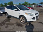 2015 Ford Escape Se White vin: 1FMCU0GX8FUB89353