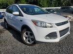 2016 Ford Escape Se White vin: 1FMCU0GX8GUB44057