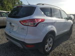 2016 Ford Escape Se White vin: 1FMCU0GX8GUB44057