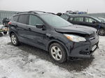 2016 Ford Escape Se Black vin: 1FMCU0GX8GUC14446