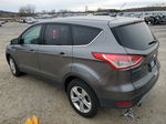 2013 Ford Escape Se Серый vin: 1FMCU0GX9DUA35084