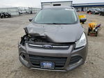 2013 Ford Escape Se Серый vin: 1FMCU0GX9DUA35084