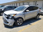 2013 Ford Escape Se Silver vin: 1FMCU0GX9DUA35585