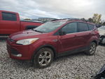 2013 Ford Escape Se Red vin: 1FMCU0GX9DUB21432