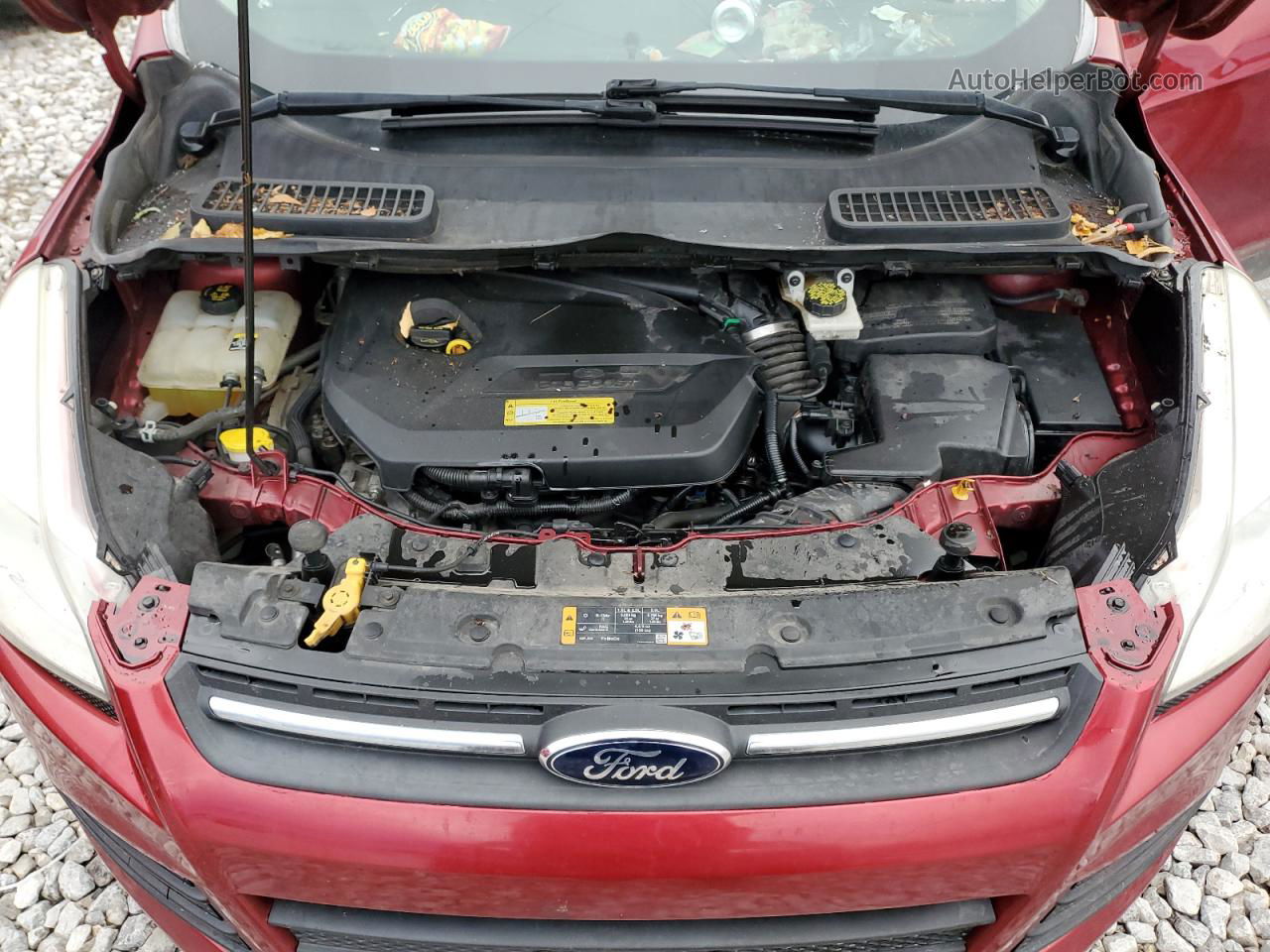 2013 Ford Escape Se Красный vin: 1FMCU0GX9DUB21432