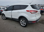 2013 Ford Escape Se Белый vin: 1FMCU0GX9DUD18391