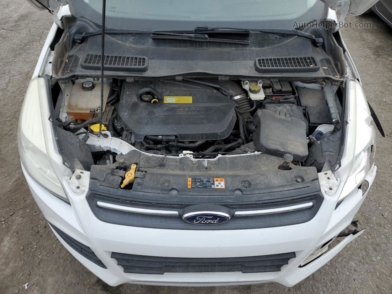 2013 Ford Escape Se Белый vin: 1FMCU0GX9DUD18391