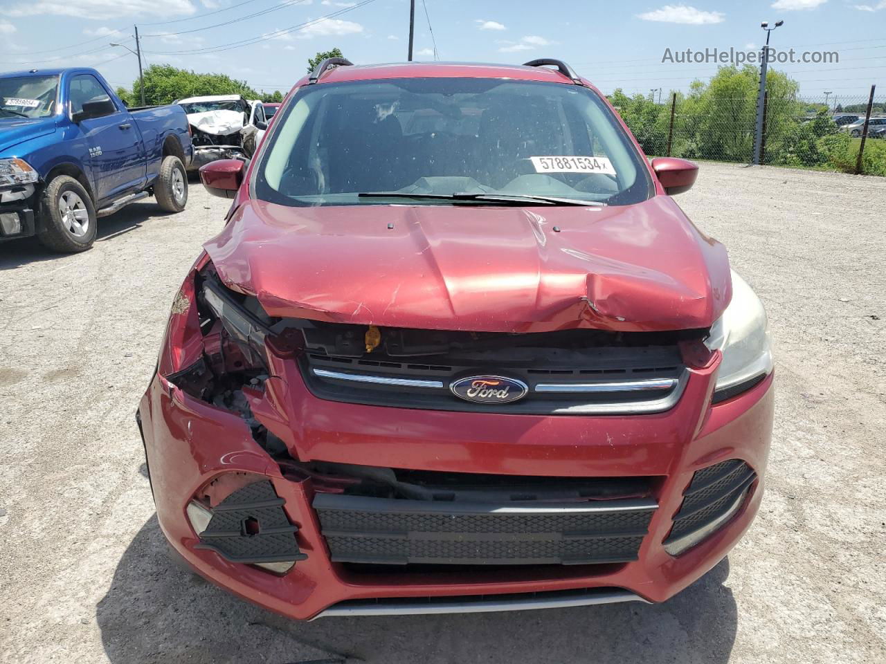 2014 Ford Escape Se Red vin: 1FMCU0GX9EUB94642