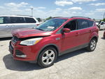 2014 Ford Escape Se Red vin: 1FMCU0GX9EUB94642