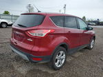 2014 Ford Escape Se Burgundy vin: 1FMCU0GX9EUC99021