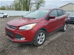 2014 Ford Escape Se Burgundy vin: 1FMCU0GX9EUC99021