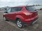 2014 Ford Escape Se Burgundy vin: 1FMCU0GX9EUC99021