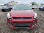 2014 Ford Escape Se Burgundy vin: 1FMCU0GX9EUC99021