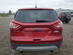 2014 Ford Escape Se Burgundy vin: 1FMCU0GX9EUC99021