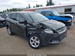 2015 Ford Escape Se Gray vin: 1FMCU0GX9FUA46041