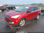 2015 Ford Escape Se Red vin: 1FMCU0GX9FUC74394