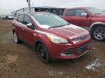 2016 Ford Escape Se Красный vin: 1FMCU0GX9GUA28284