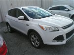 2016 Ford Escape Se vin: 1FMCU0GX9GUB41247