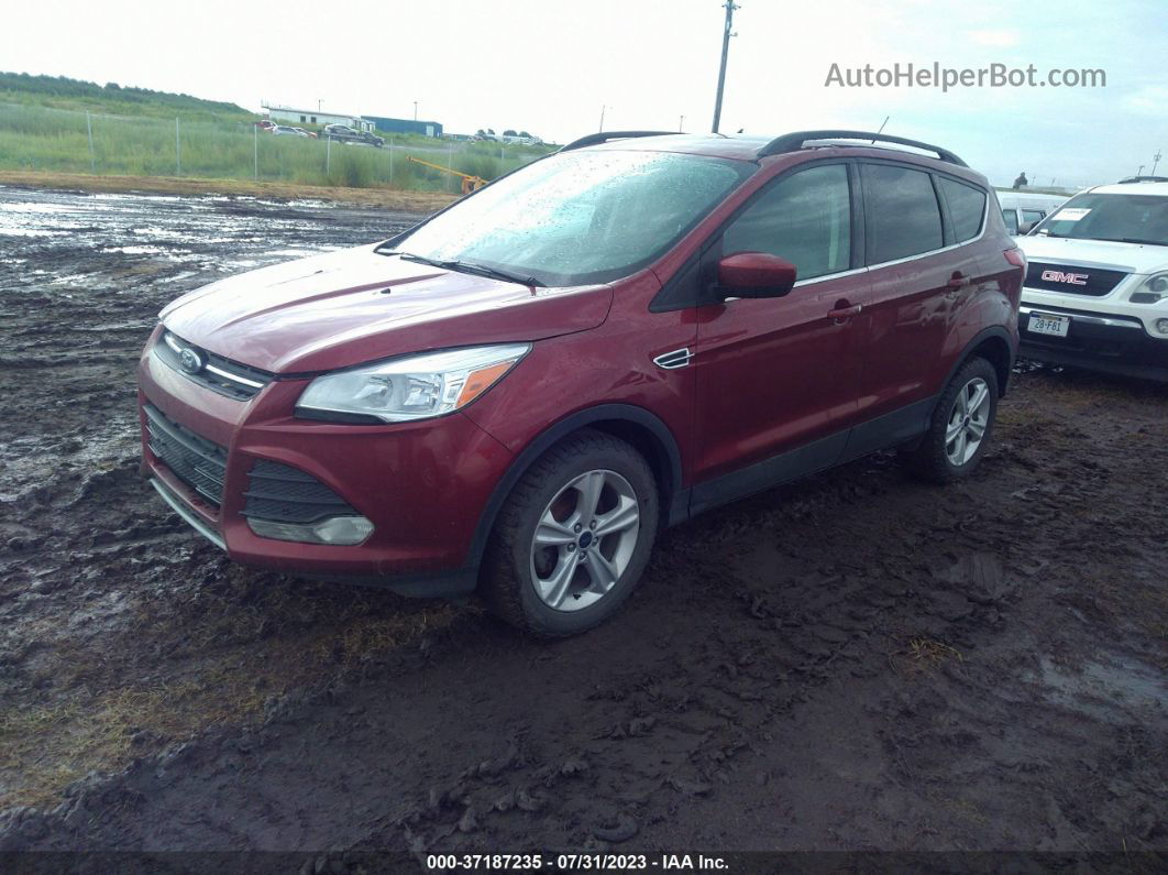 2016 Ford Escape Se Красный vin: 1FMCU0GX9GUC56950