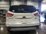 2013 Ford Escape Se Белый vin: 1FMCU0GXXDUA04703