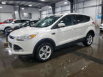 2013 Ford Escape Se Белый vin: 1FMCU0GXXDUA04703