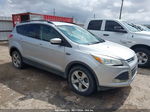 2013 Ford Escape Se Silver vin: 1FMCU0GXXDUA28970