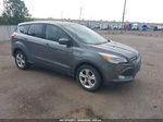 2013 Ford Escape Se Gray vin: 1FMCU0GXXDUA40892