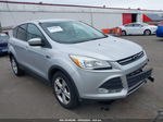 2013 Ford Escape Se Silver vin: 1FMCU0GXXDUC14766