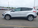 2013 Ford Escape Se Silver vin: 1FMCU0GXXDUC14766