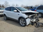 2013 Ford Escape Se Белый vin: 1FMCU0GXXDUC38453