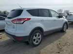 2013 Ford Escape Se White vin: 1FMCU0GXXDUC38453